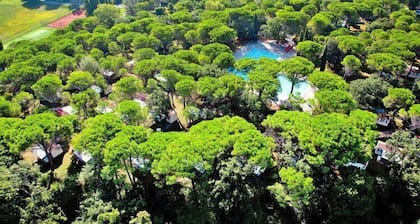 Holiday flat in the Belvedere holiday complex in Grado