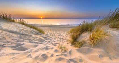 Ferienhaus in Zeeland am See mit Sauna