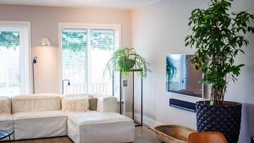 Smart-TV, Stereoanlage