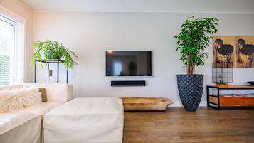 Smart-TV, Stereoanlage