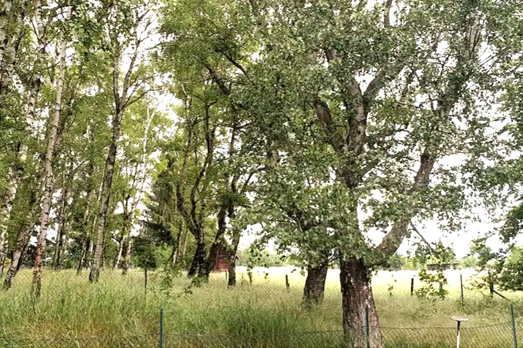 Un espace clos, avec de grands arbres et un petit bâtiment.