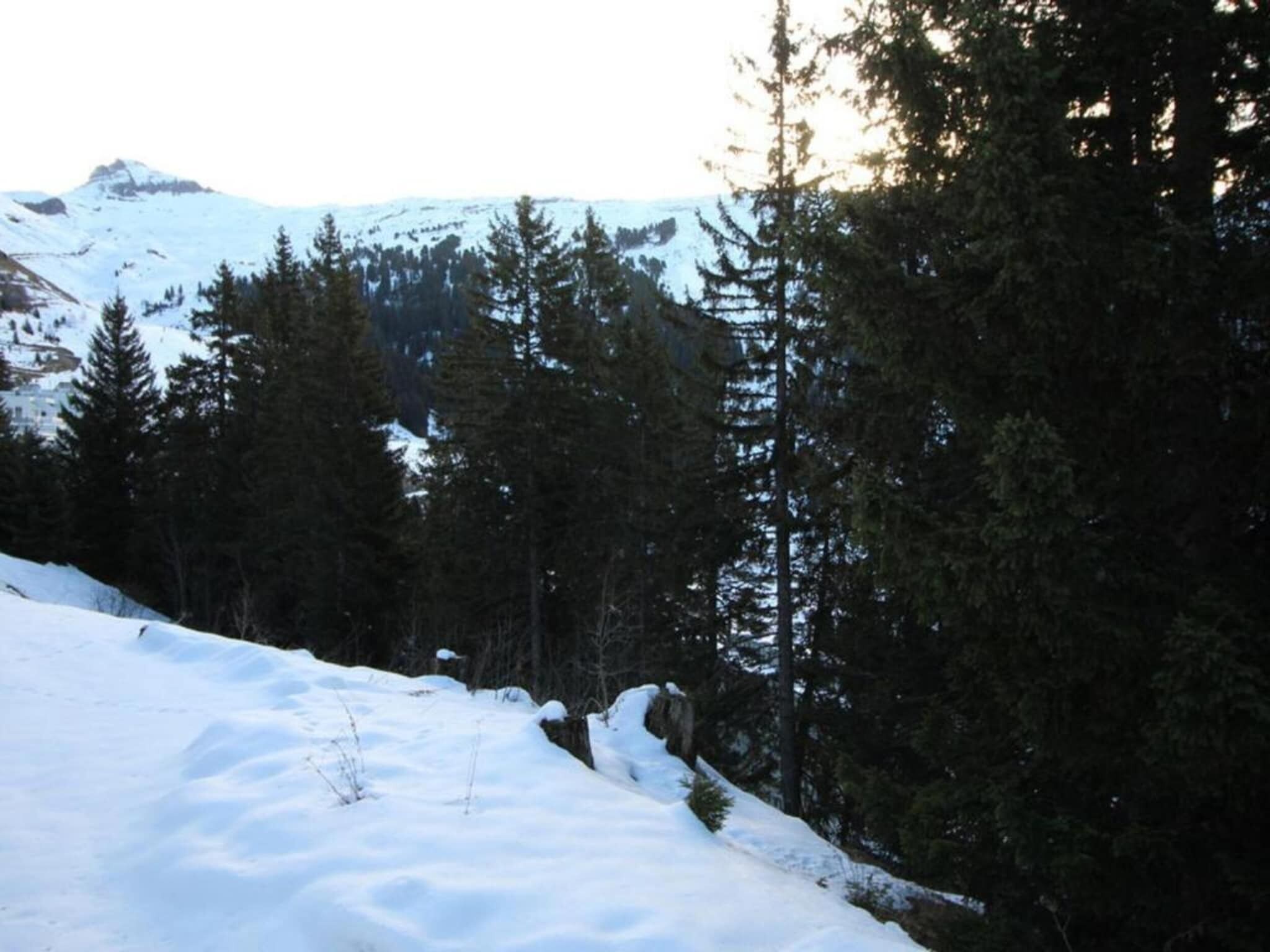 Eine verschneite Berglandschaft mit dichten Nadelbäumen und einem klaren Himmel.