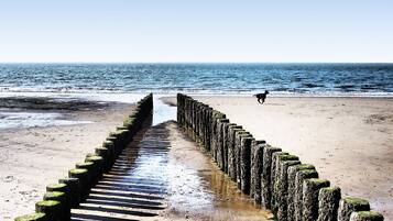 Playa en los alrededores