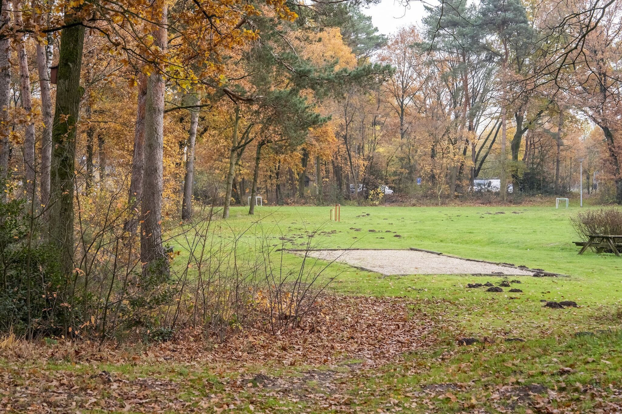En park med græs, træer og en lille sø.