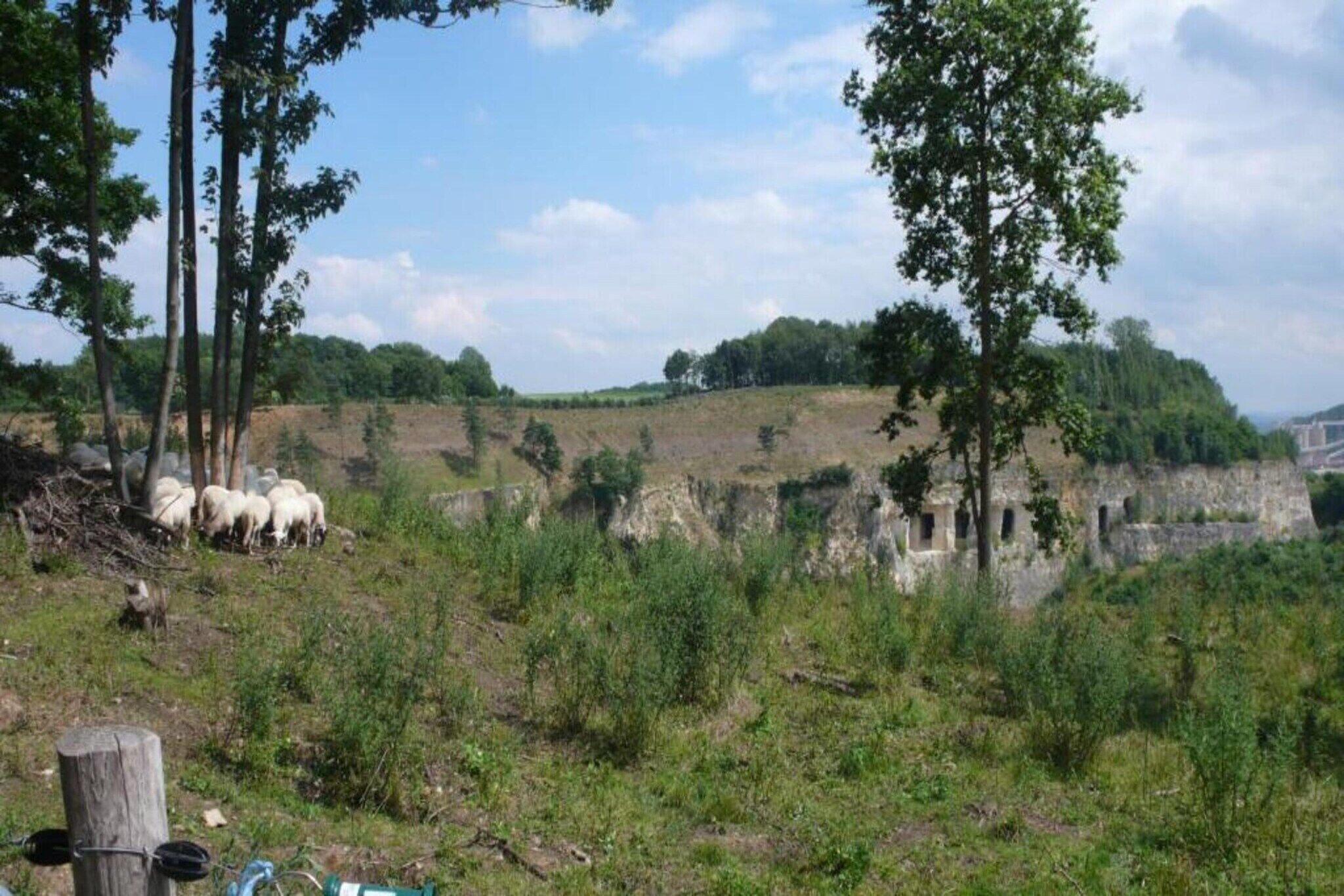 A rural landscape with a herd of sheep grazing near a stone wall.