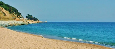 Plage à proximité