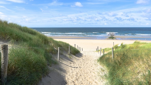 En sti af sand der fører til havet, med græsbeklædte klitter på begge sider.