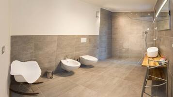 Shower, hair dryer, bidet, towels