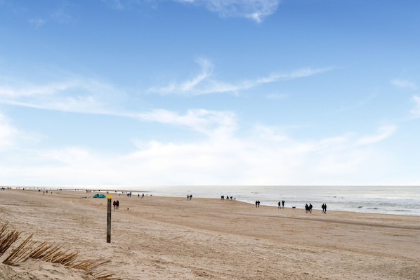 Playa en los alrededores 