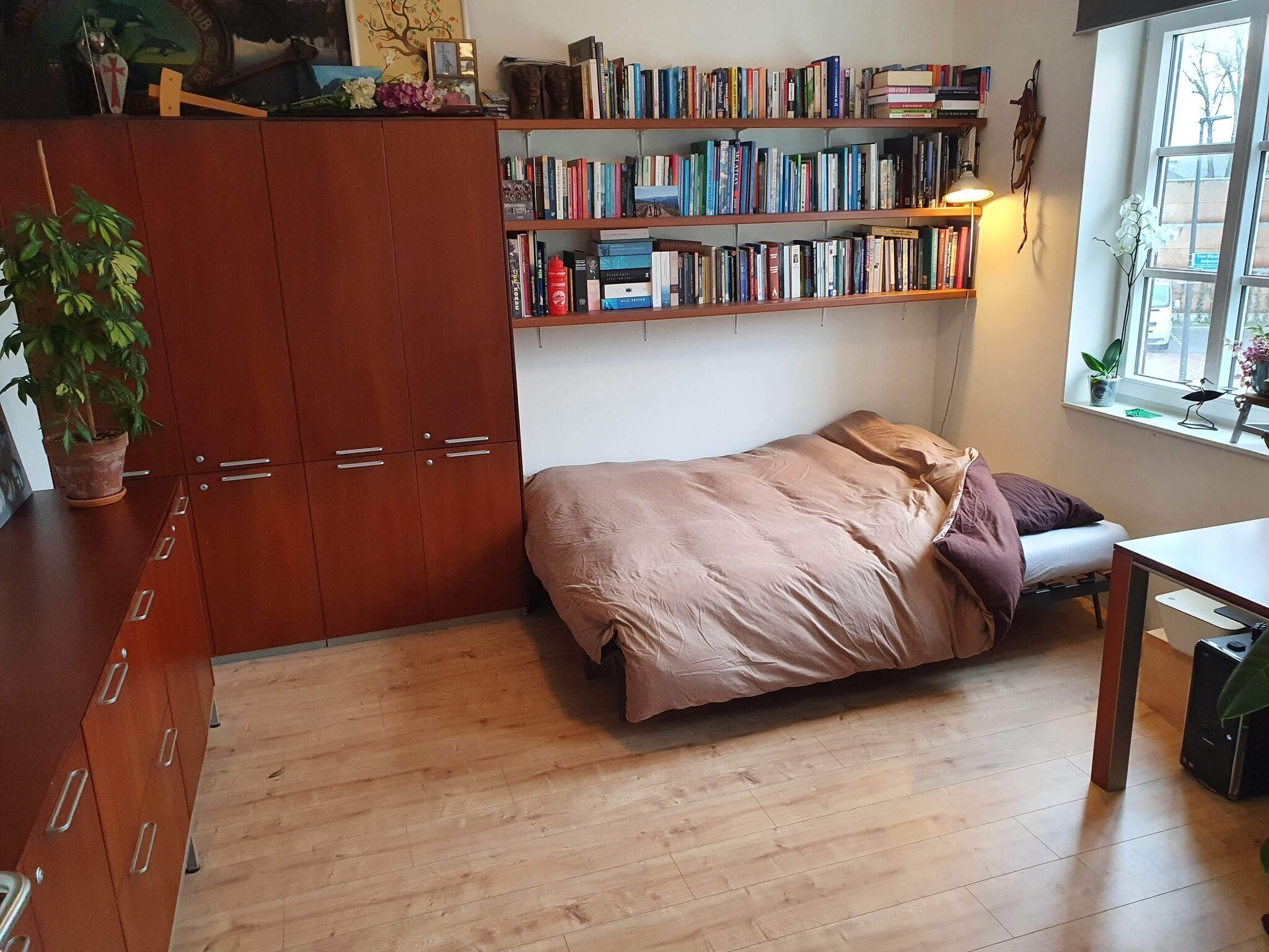 Una camera da letto con un letto, un'armadietto in legno, mensole porta libri, una pianta in vaso e una finestra.