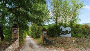 A rural path leading to a gate with a horse sculpture and a sign indicating 'La Casella Scuola'. - Holiday Home in Ficulle with Pool Access (Ficulle)