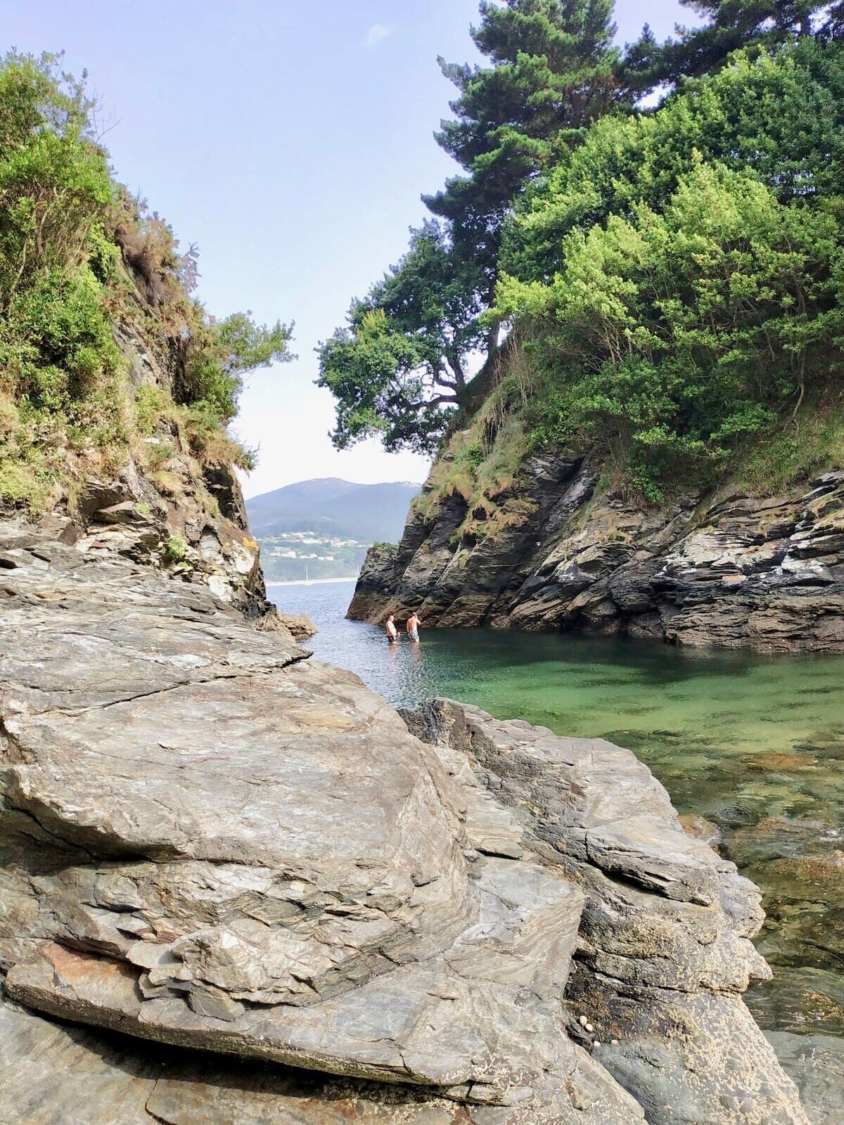 A rocky shoreline with clear water and a tree on the right.