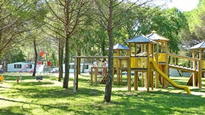 Een speeltuin met gele en blauwe constructies, omgeven door bomen en gras.