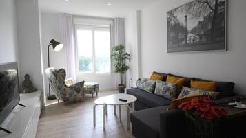 Una televisión de pantalla plana