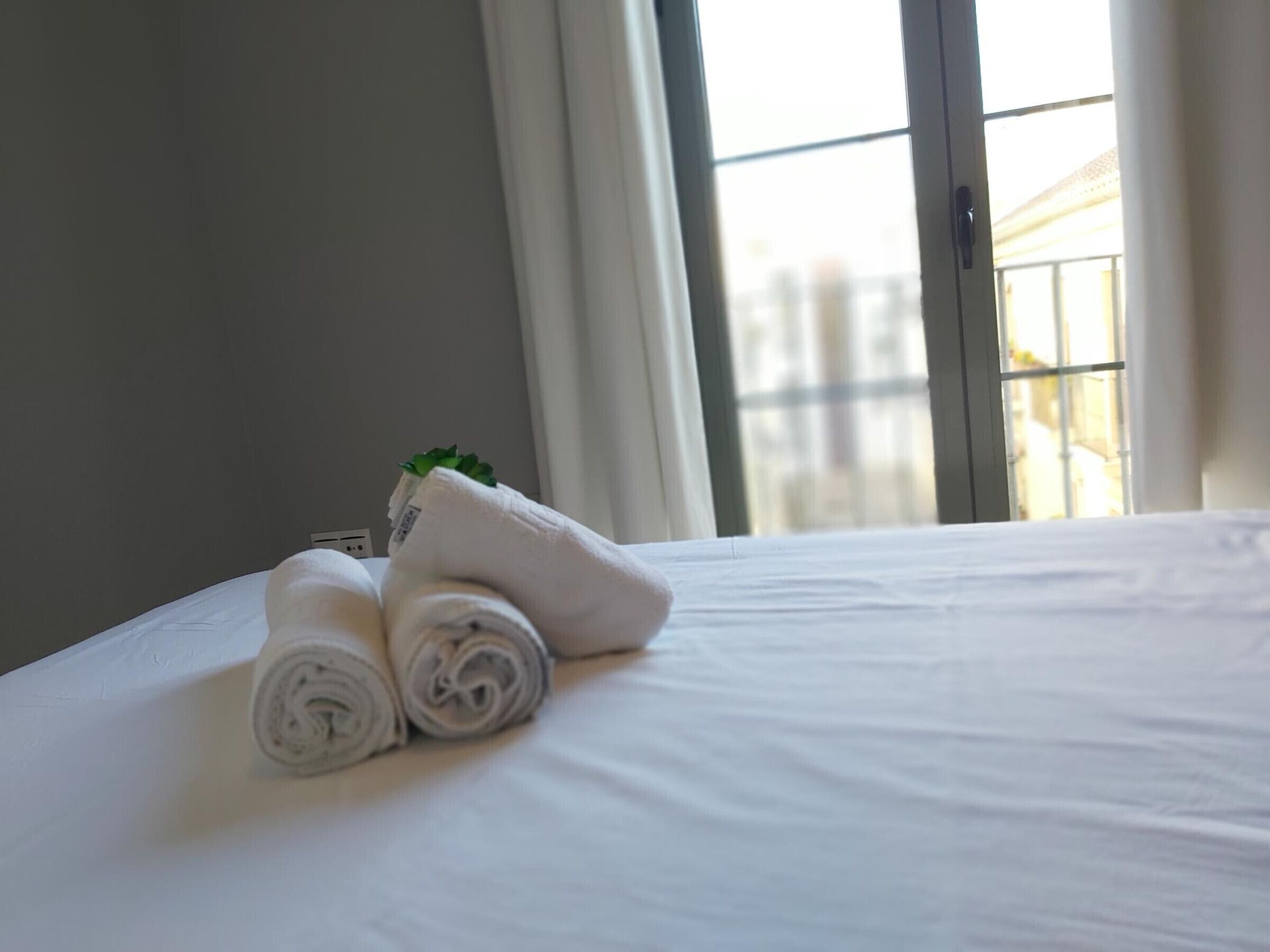 A neatly made bed with rolled white towels and a small green plant on the side.