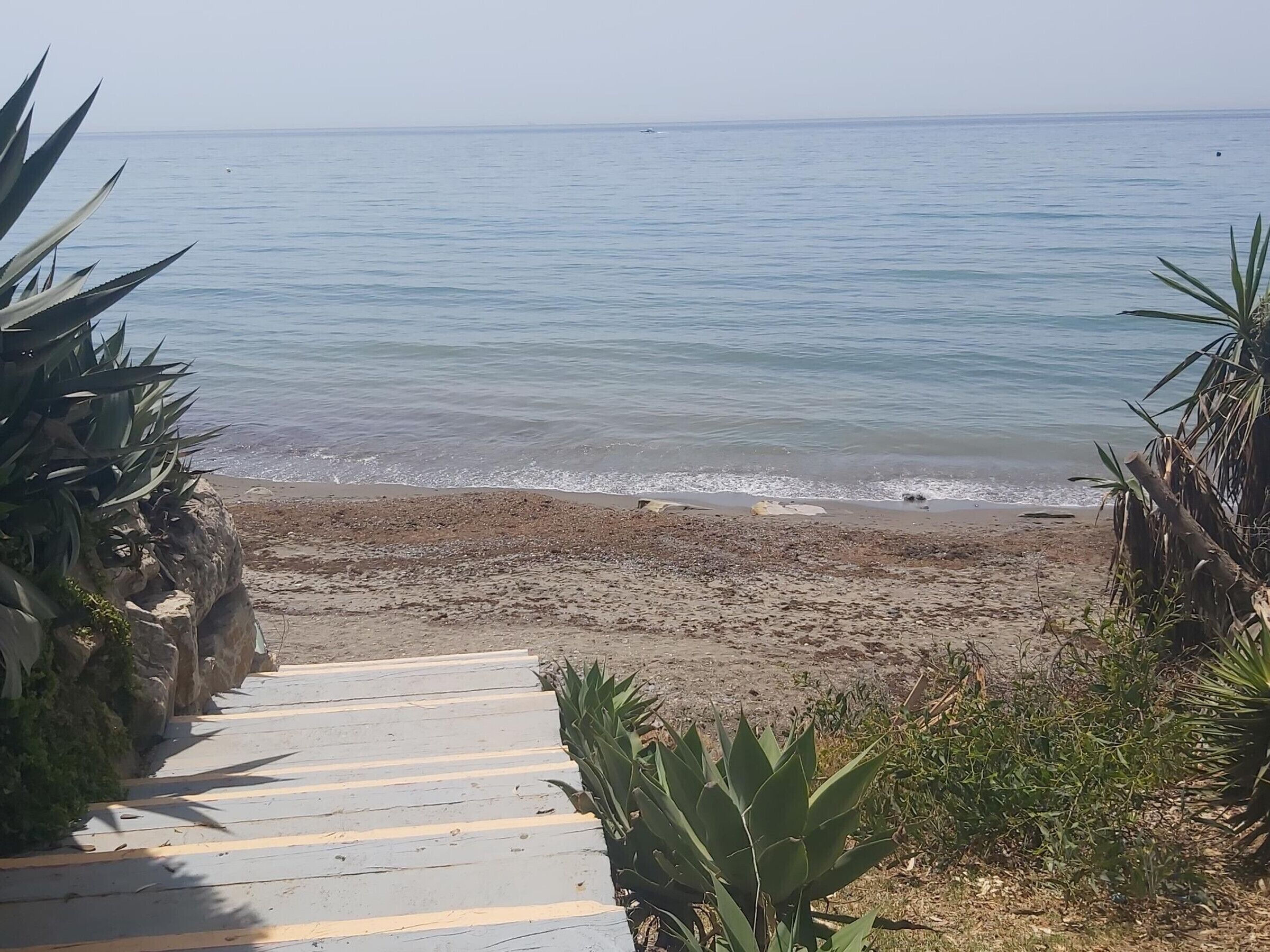 Una spiaggia con un sentiero in legno che conduce alla riva, circondata da piante tropicali.