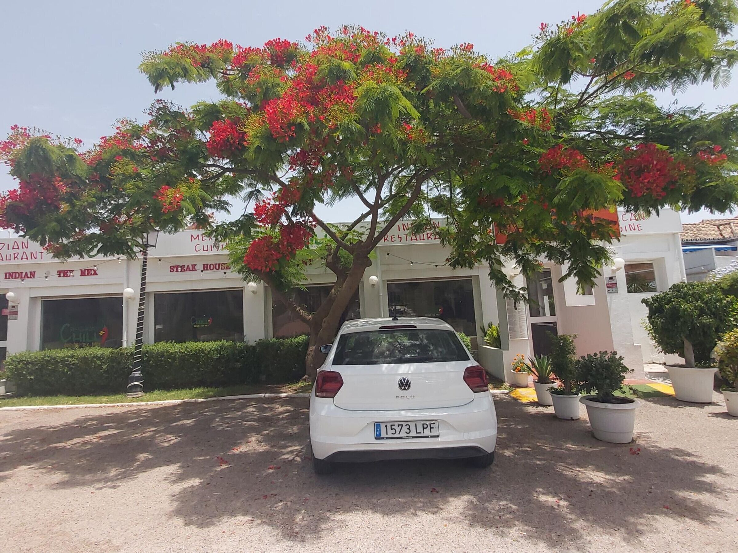 Une Volkswagen Polo blanche était garée devant un immeuble sur lequel on pouvait lire les enseignes « Restaurant indien » et « Grill ».