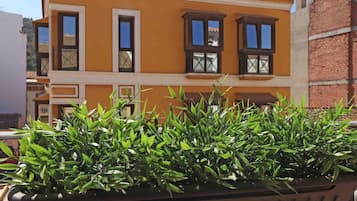 Detalle del exterior