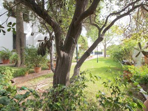 المنطقة المحيطة بالمنشأة