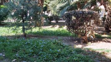 Jardines del alojamiento