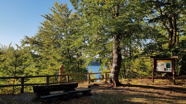 A wooden bench, a wooden fence, and a signboard in a park with trees and a lake in the background.