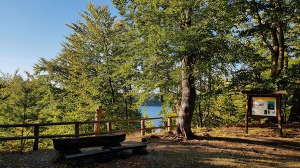 Property grounds - Hunter's apartment in the Großmenow forester's lodge (Fürstenberg/Havel)