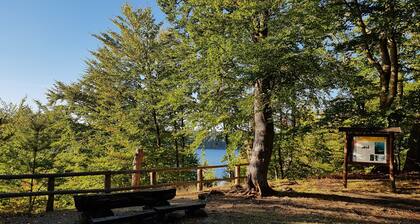 Jägerwohnung im Forsthaus Großmenow