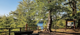 Hunter's apartment in the Großmenow forester's lodge