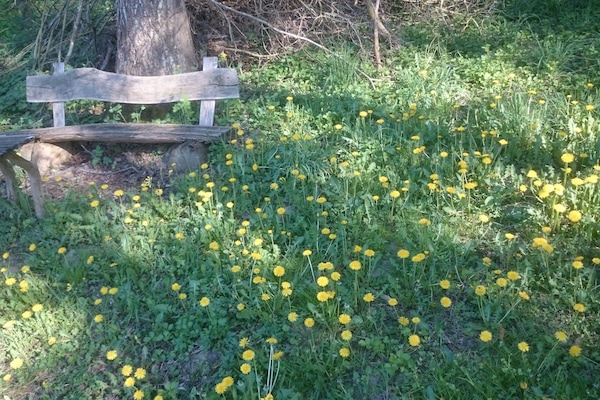 Overnatningsstedets område