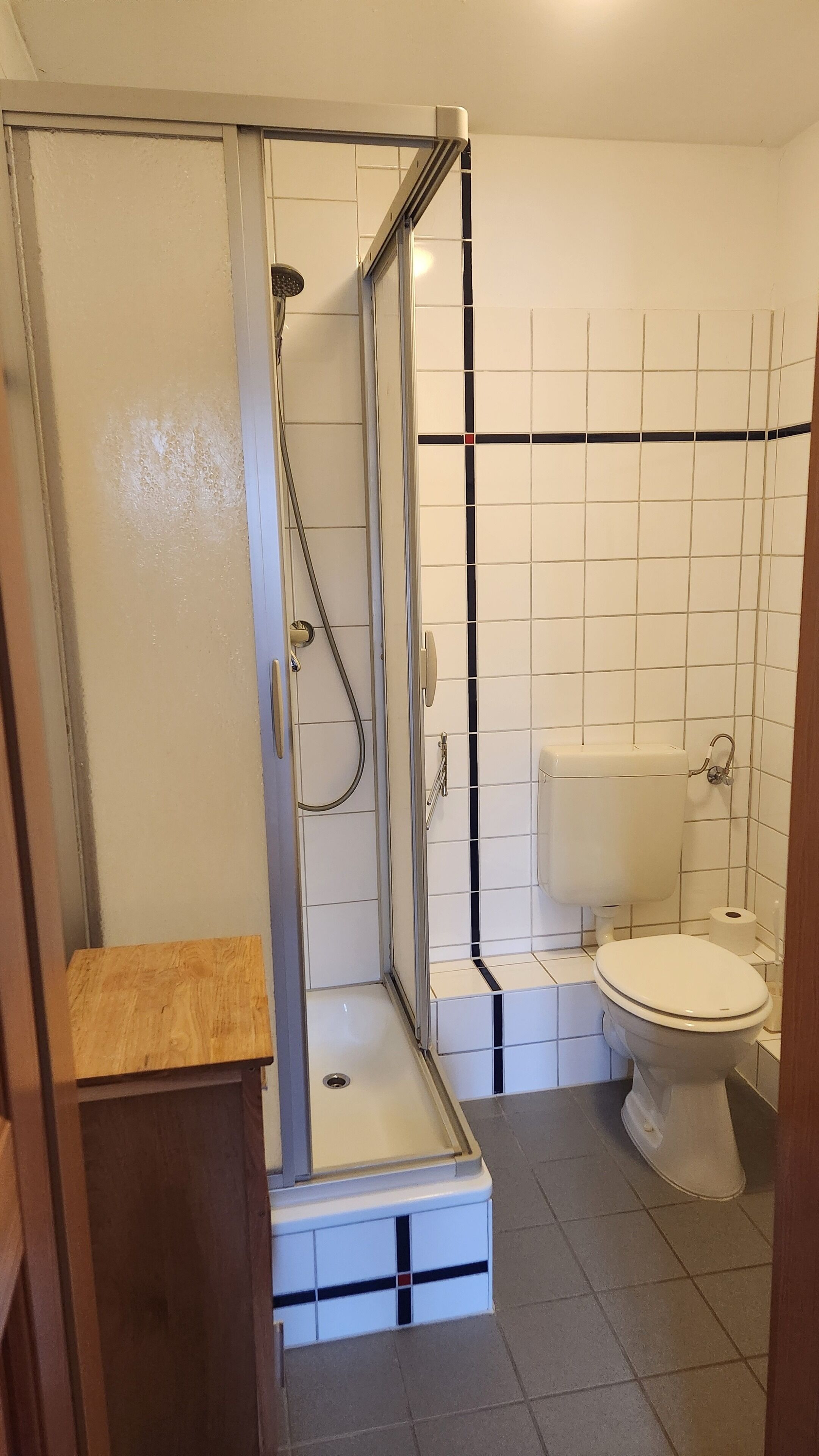 Ein Badezimmer mit Duschkabine, Toilette und einem Holzausleger.