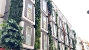 La façade d’un hôtel, ornée de nombreuses fenêtres, dont certaines sont recouvertes de verdure, et sur laquelle on peut voir une enseigne indiquant « Mariposa Hotel ».