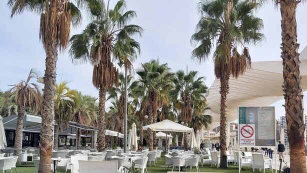 Un espace extérieur aménagé avec des chaises et des tables en osier blanc, entouré de palmiers.
