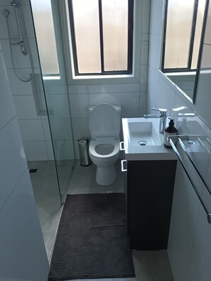 Dusche, Haartrockner, Handtücher, Seife