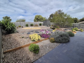 Un jardin avec différentes espèces de plantes et une terrasse en bois.