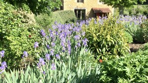A stone house surrounded by lush greenery and purple flowers.