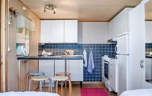 Fridge, stovetop