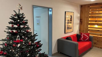 A Christmas tree with red ornaments, a grey sofa with red cushions, a framed picture on the wall, and a door labeled 'laundry'.