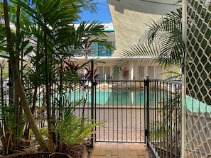 Un espace piscine clos, agrémenté de plantes tropicales et offrant une vue dégagée sur la piscine.