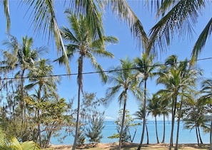 Een strand met palmbomen en een heldere lucht.