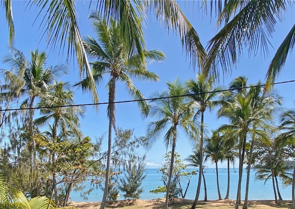 A beach with palm trees and a clear sky.