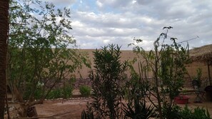 المنطقة المحيطة بالمنشأة