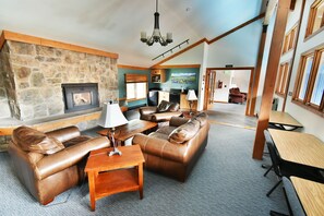 TV, fireplace, books