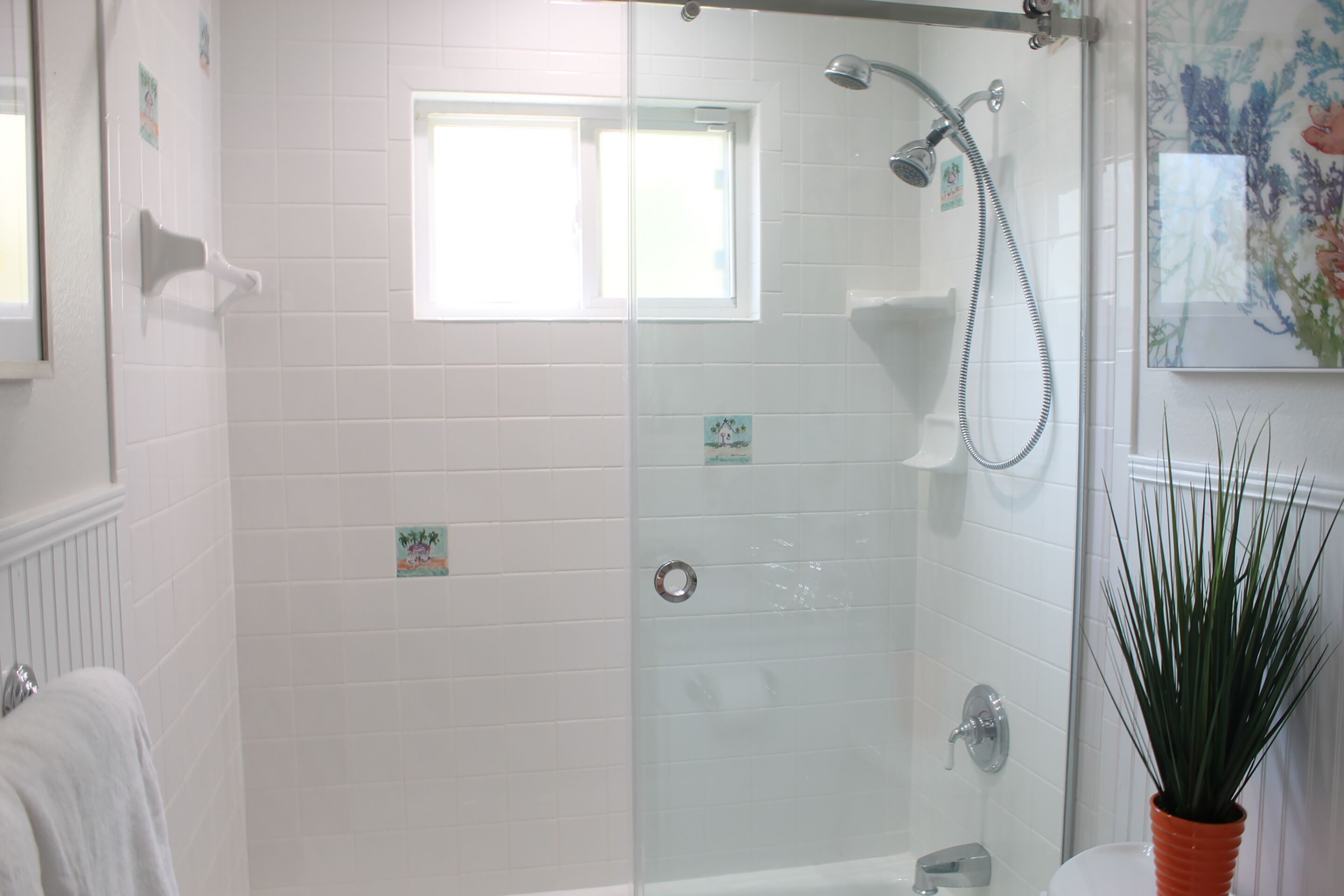 Une salle de bain avec une douche en verre, une petite fenêtre et une plante en pot.