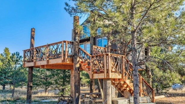 A treehouse with a wooden staircase and railing, built around a large pine tree. - Heavenly Haven Treehouse (Larkspur)
