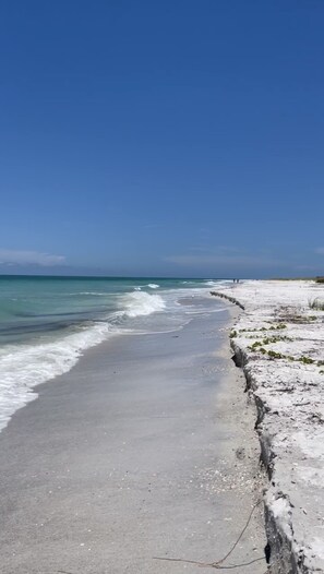 Sun-loungers, beach towels
