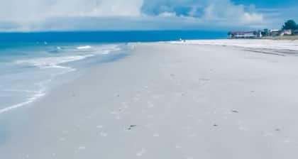 Longboat Key beach house - 5 min walk to the beaches and top local restaurants