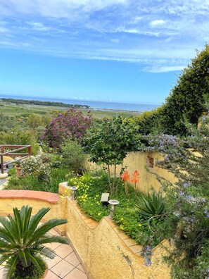 Ein Garten mit verschiedenen Pflanzen und Blumen, einer Holzpergola und Blick auf das Meer.