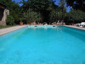 Outdoor pool - CHARMING HOUSE WITH PRIVATE POOL (Prunelli-di-Fiumorbo)