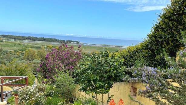 A garden with a variety of plants and flowers, a wooden pergola, and a view of the ocean.