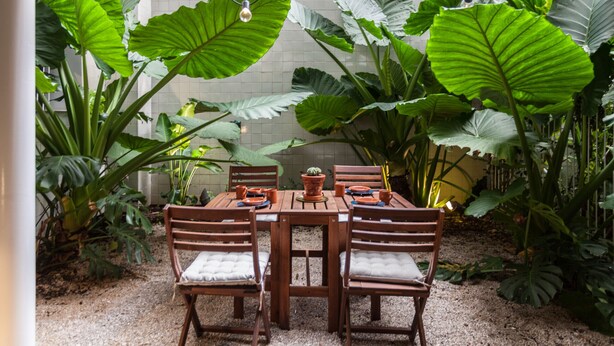A wooden table with four chairs, surrounded by large green plants and a white tiled wall.